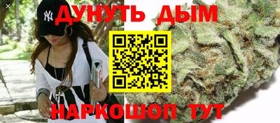 сатива Севастополь