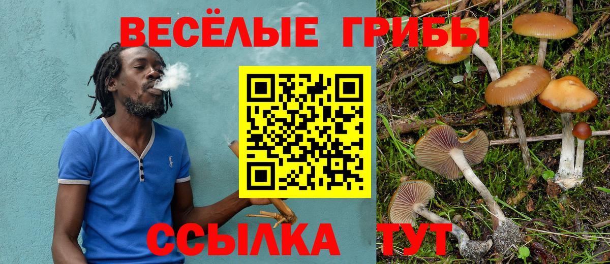 Семёнов  Галлюциногенные грибы Magic Shrooms  Вход с VPN 